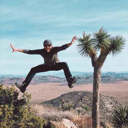 me jumping in the air next to a joshua tree
